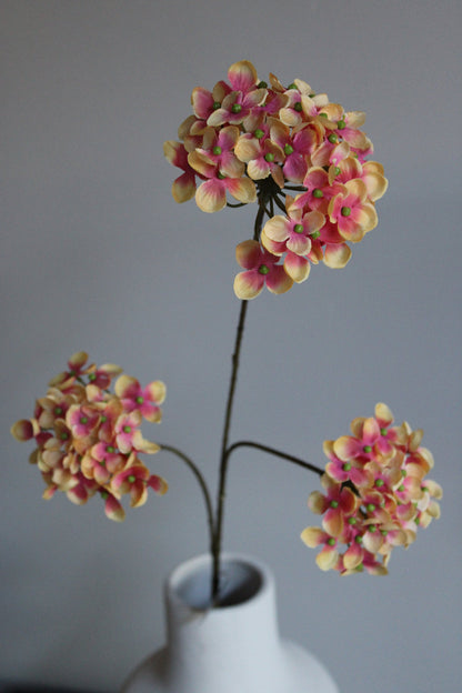 ZIJDEN TAK | HYDRANGEA | PEACH