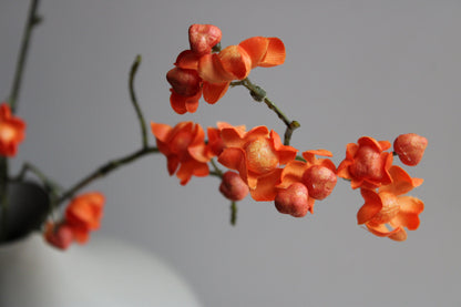 BESSENTAK | ORANJE