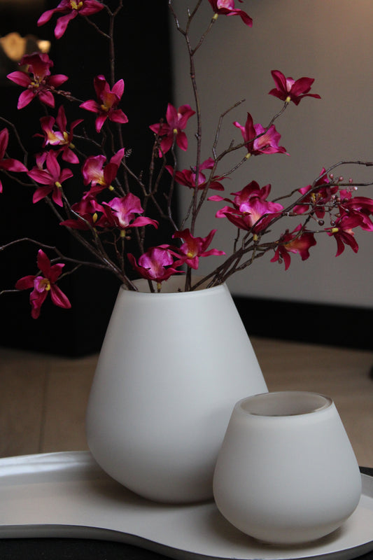 TASMAN | MATT IVORY | SET 2