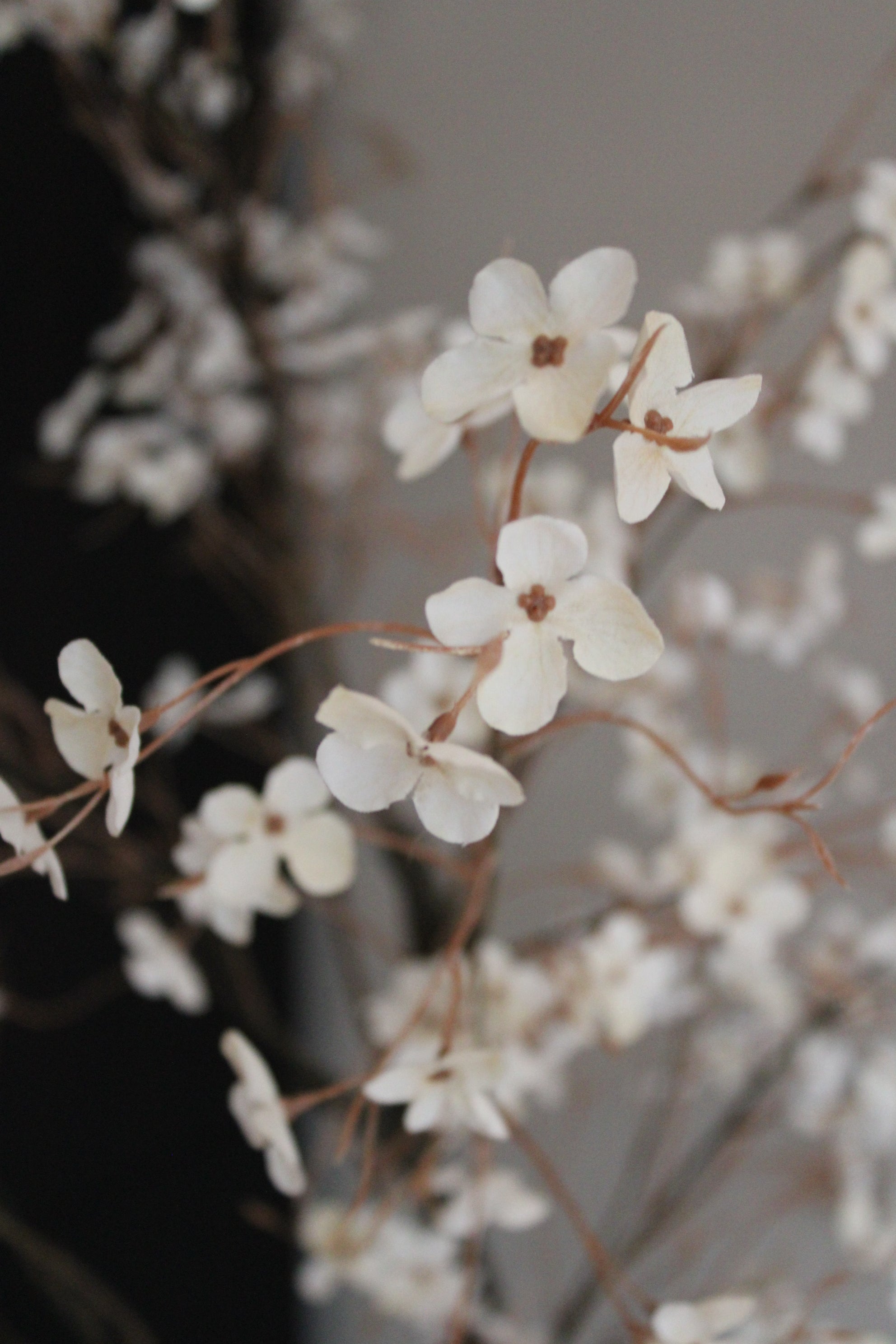 KUNSTBOOM | PYRUS | DIVERSE FORMATEN