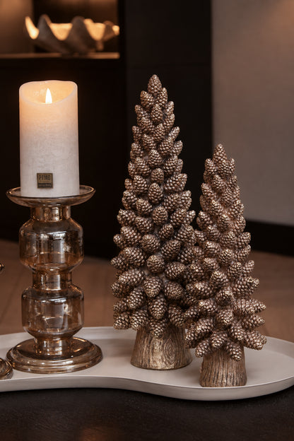 BOOM | DENNENAPPELS | BRONS | 2 FORMATEN