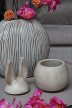 AARDEWERK POT | PAASHAAS