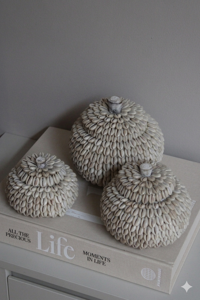 MOYO SHELL | POTJES | 3 FORMATEN