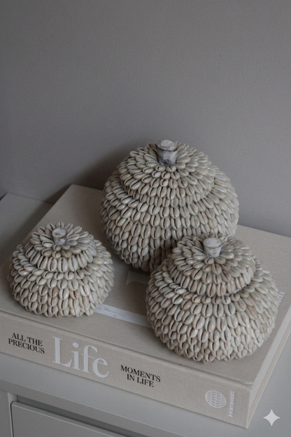 MOYO SHELL | POTJES | 3 FORMATEN