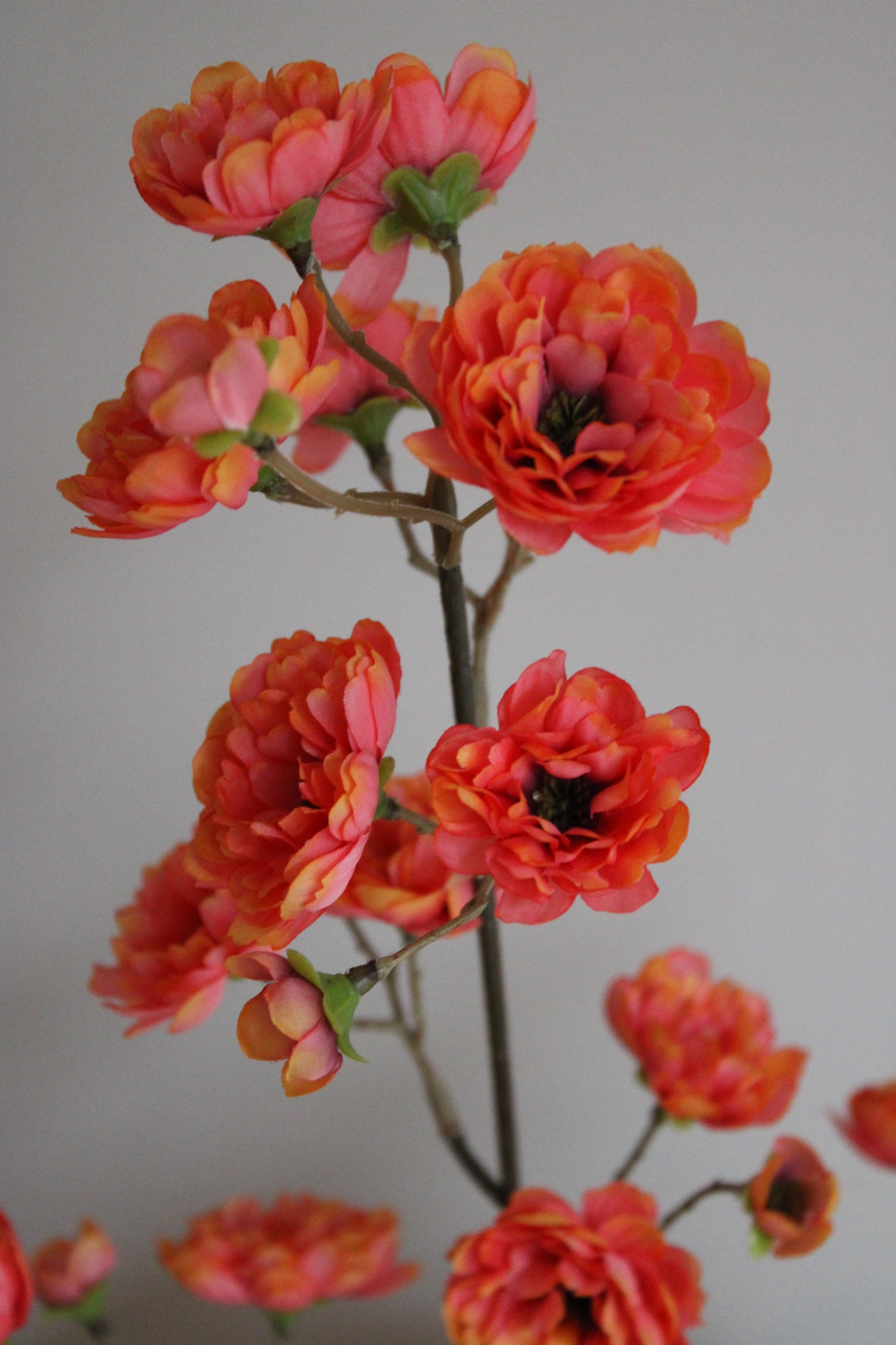 BLOESEMTAK | ORANJE | 80CM