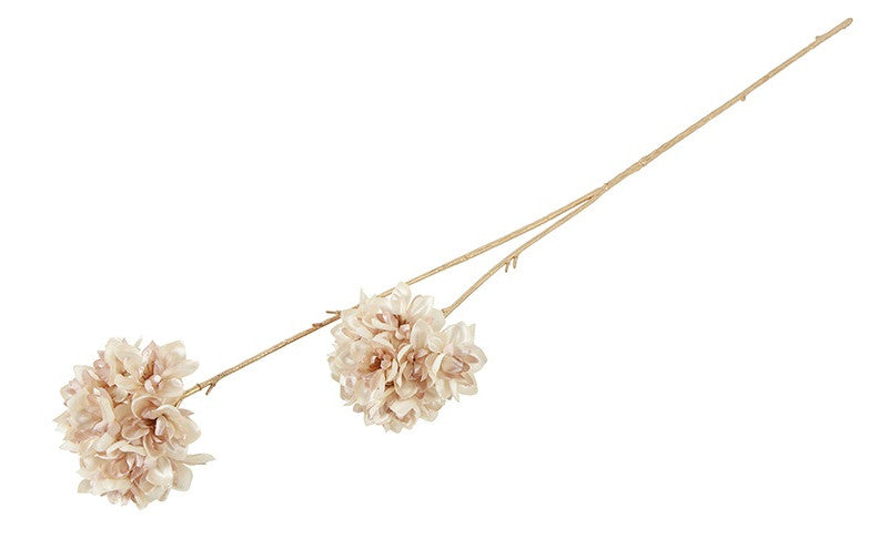 RODODENDRON | BEIGE | 85CM | 3 BOLLEN