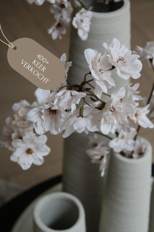 BLOESEMTAK | BEIGE | 2 FORMATEN