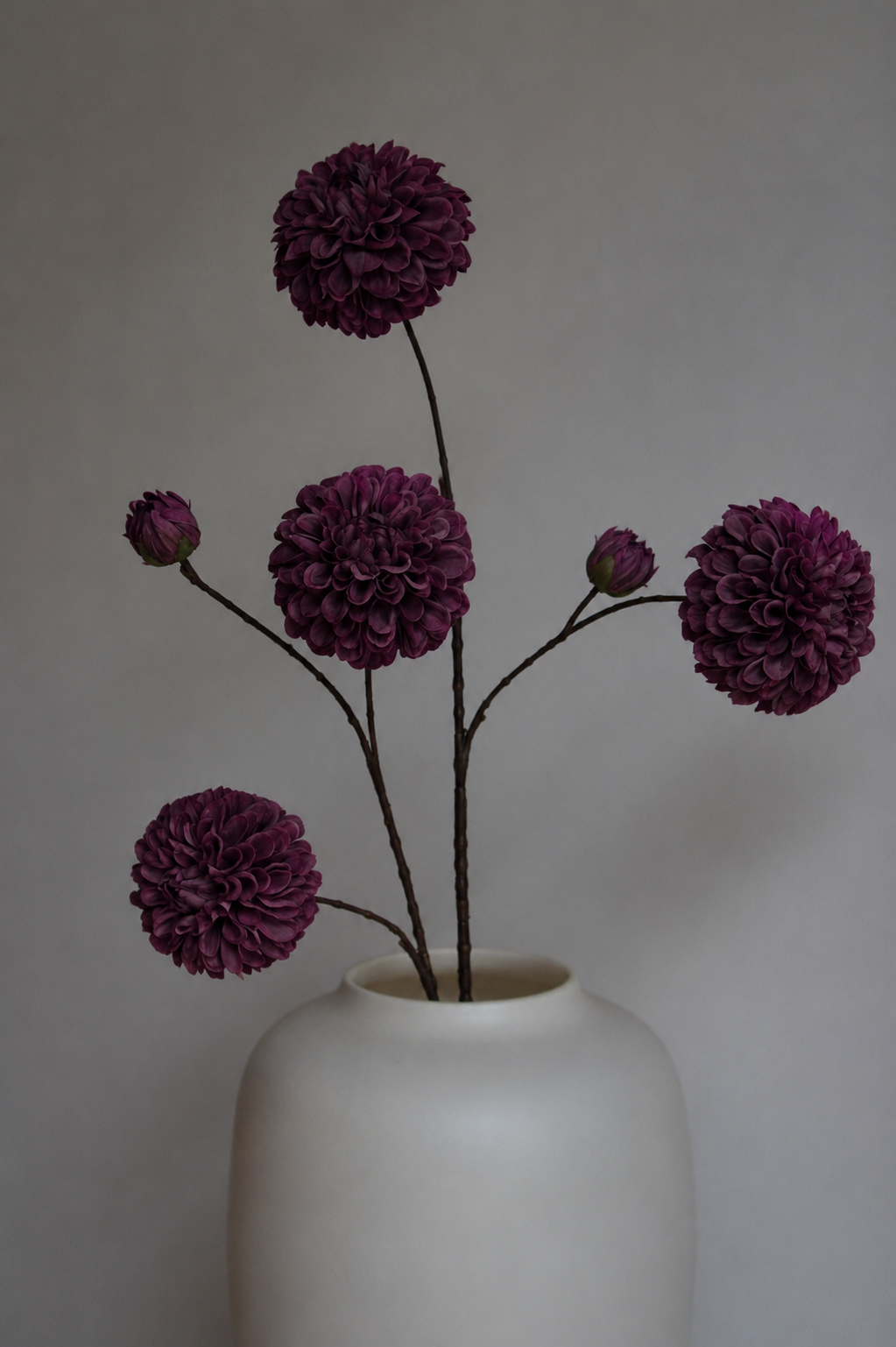 DAHLIA | AUBERGINE | 115CM