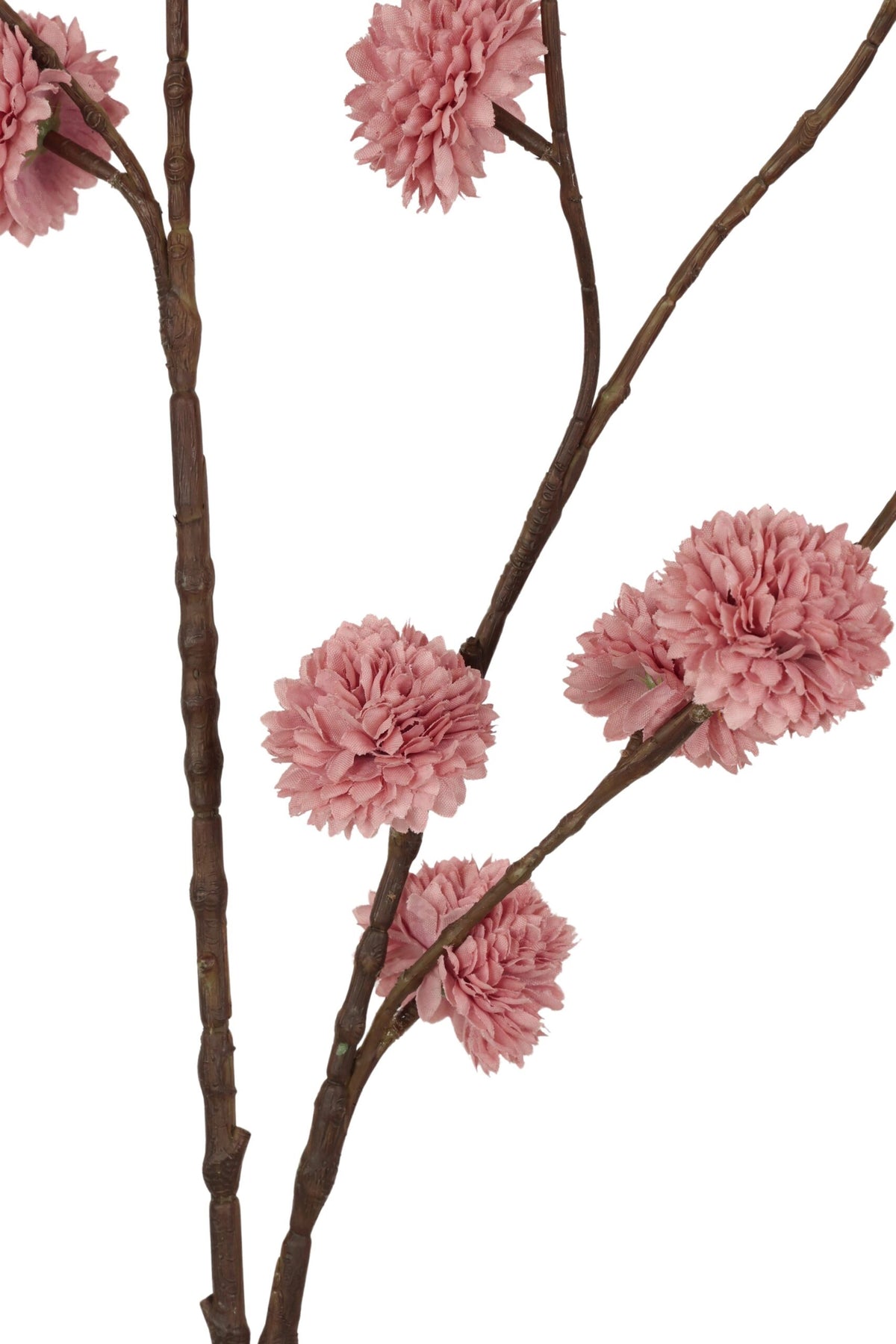 POM POM TAK | MAUVE | 100CM