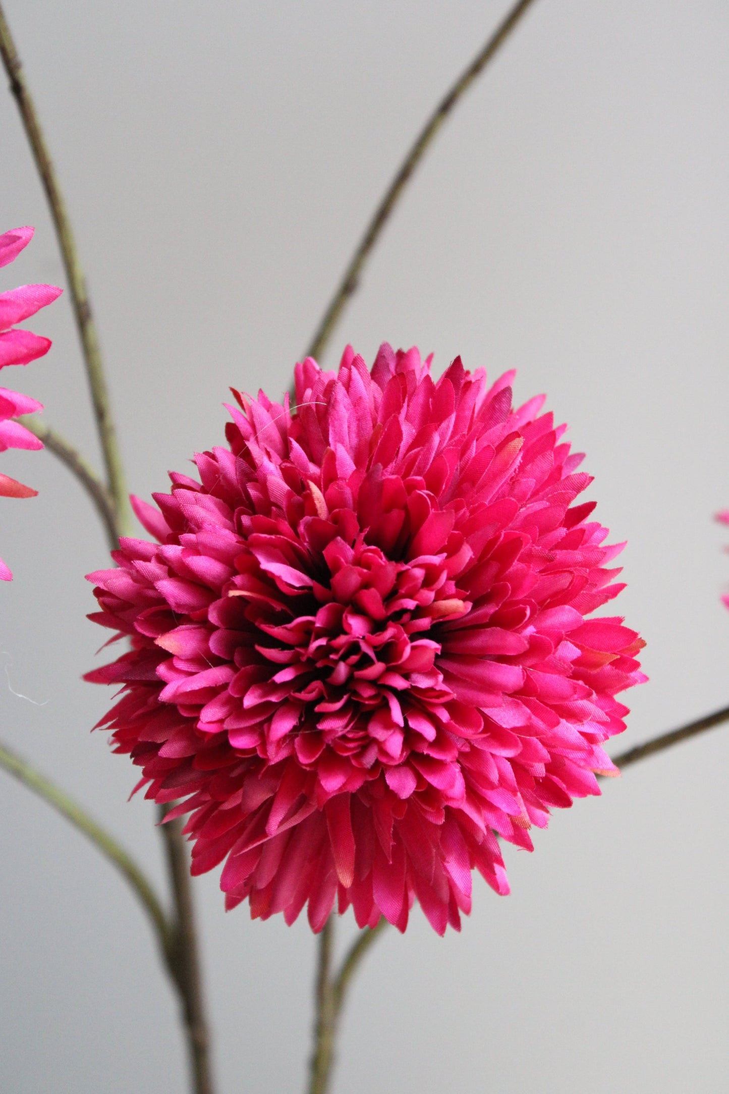 POM POM TAK | GIANT | FUCHSIA | 108CM