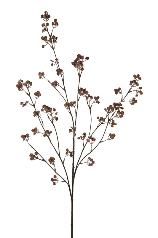 ELM SEED | COFFEE | 115CM